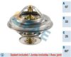 FAE 5305380 Thermostat, coolant